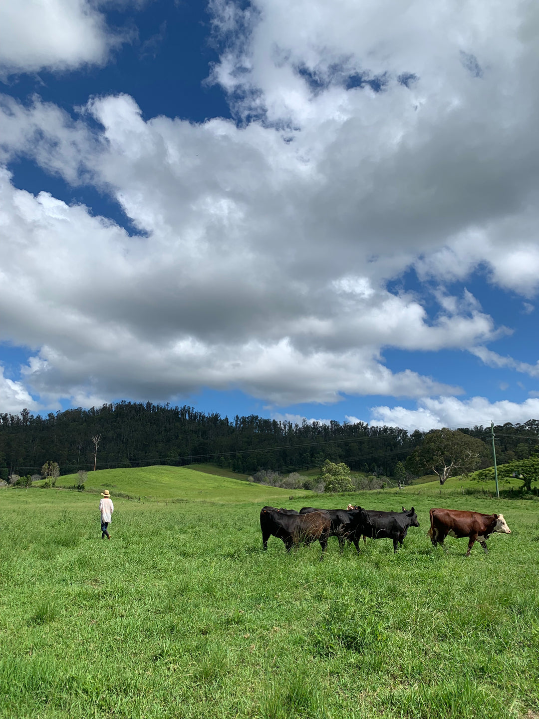 Why are we seeing a rise in conscious food?