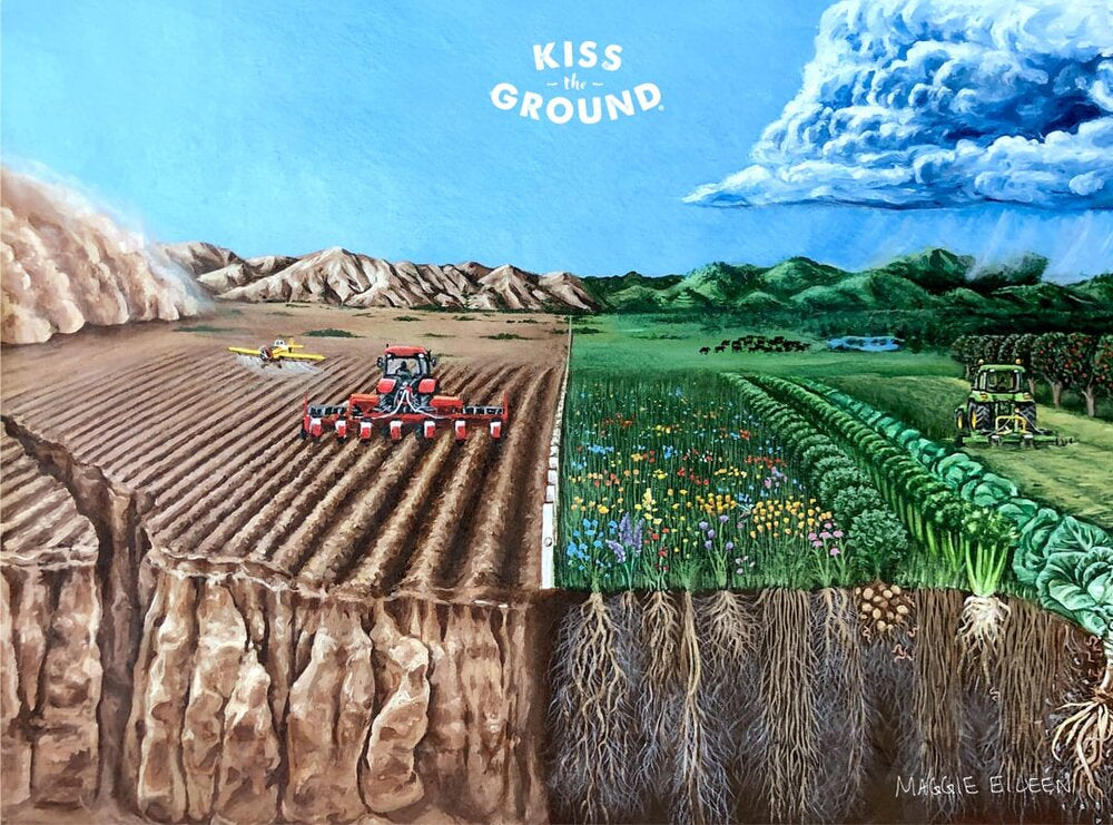 Let's Talk About that dreaded Glyphosate