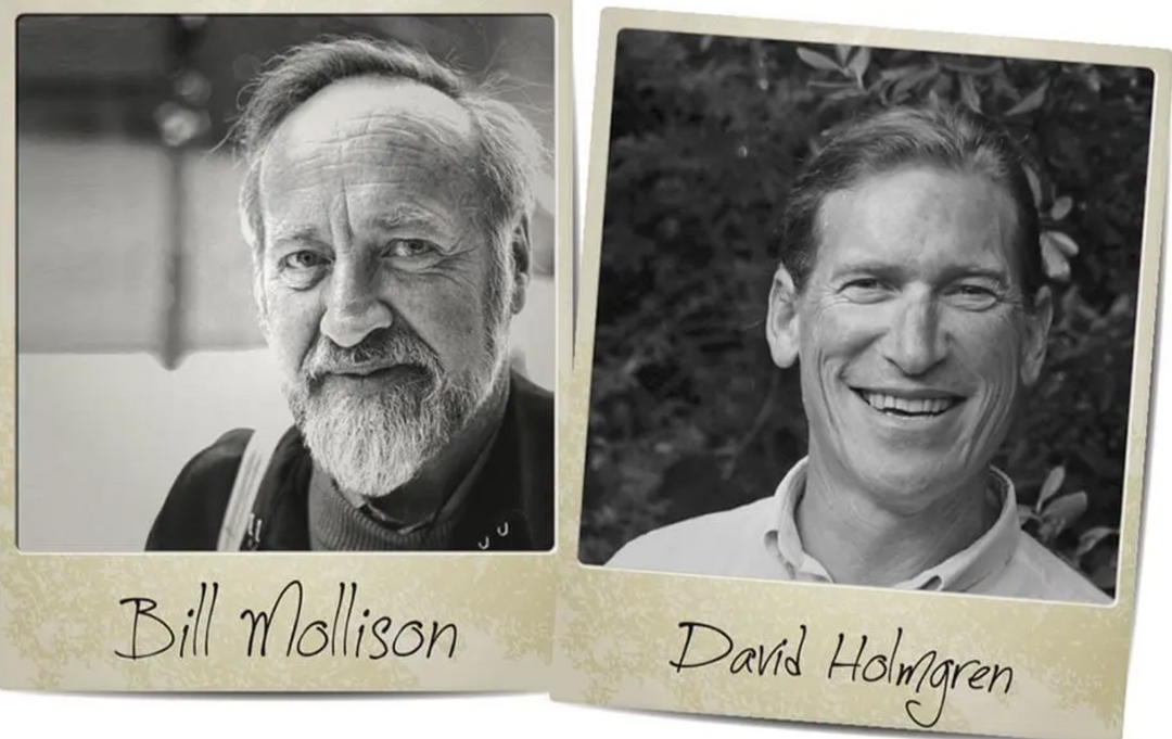 The Aussies that coined Permaculture