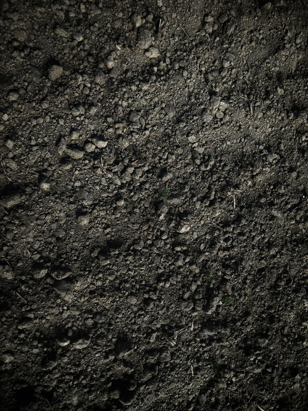 The role of soil in regenerating the land