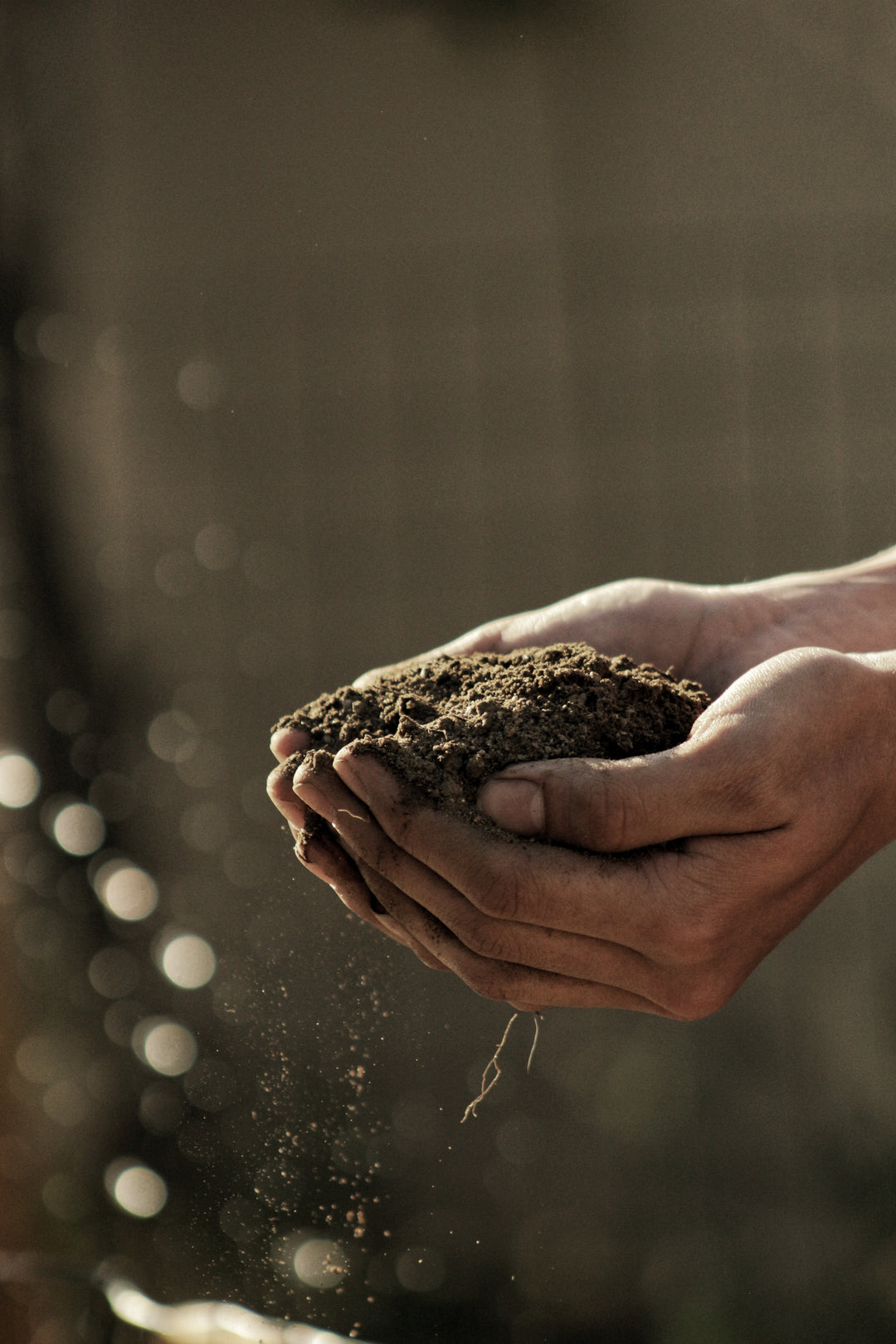 The role of soil in the health of the planet