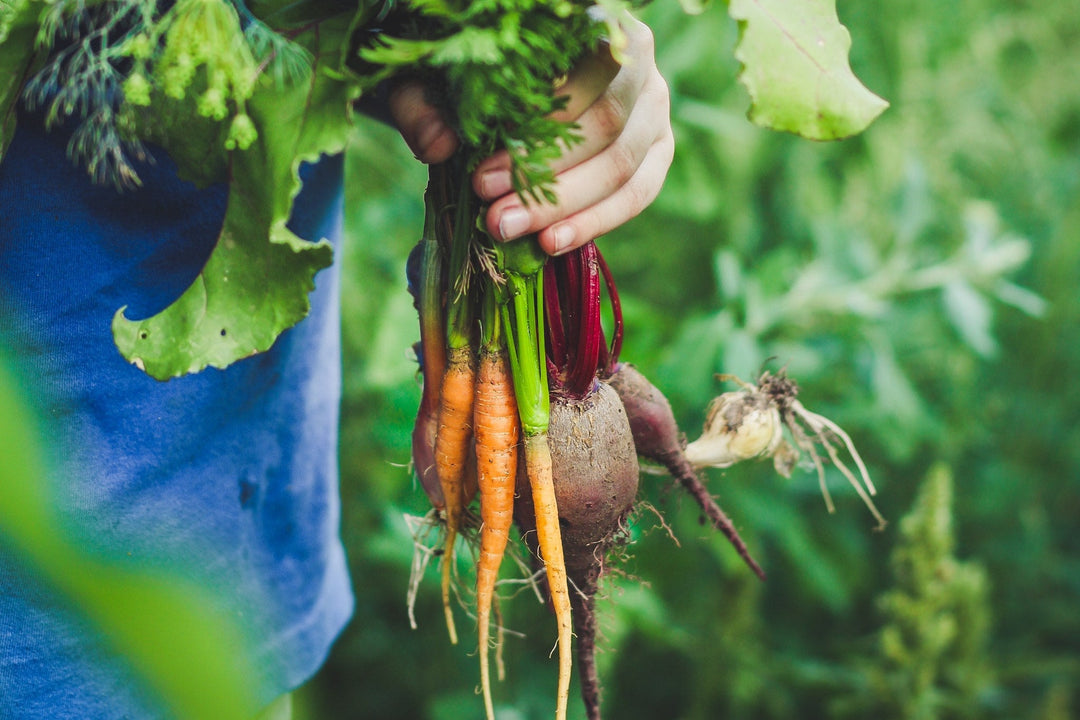 Phytonutrients: Nature’s Protective Compounds